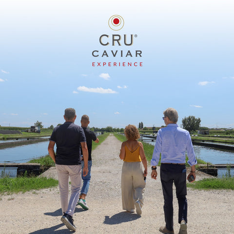 Cru Caviar Experience