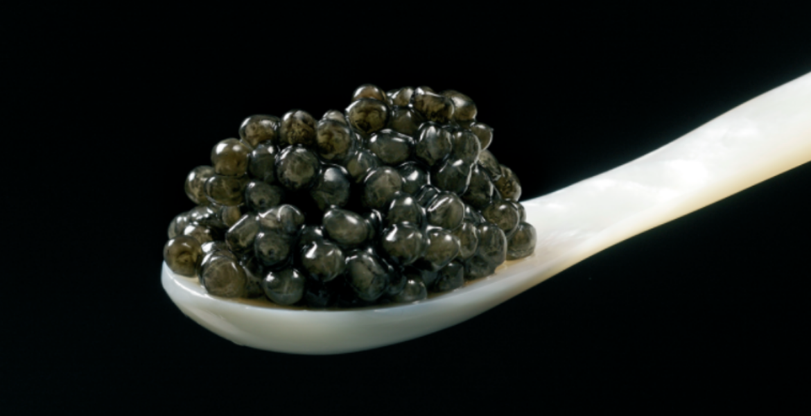 Caviar: history, origins and Cru - Gambero Rosso