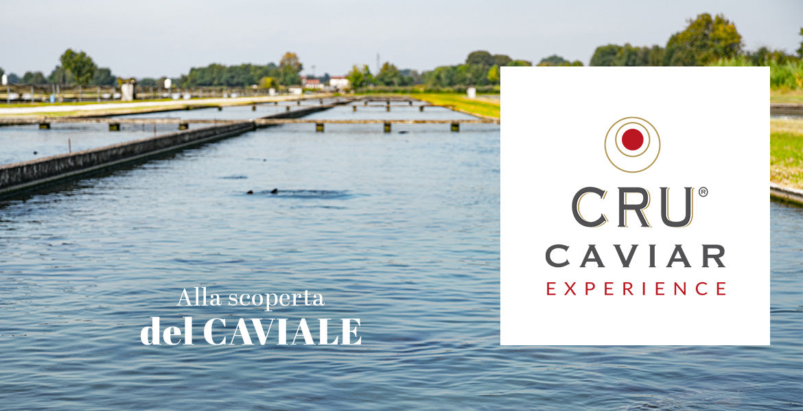 Cru Caviar Experience