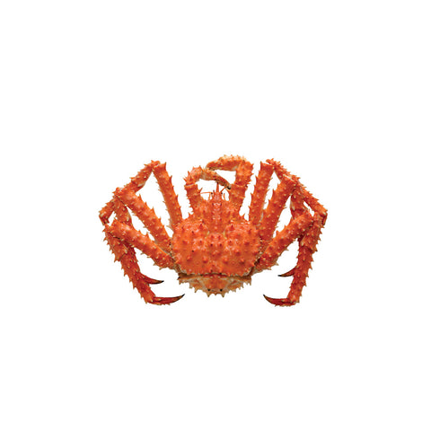 King Crab